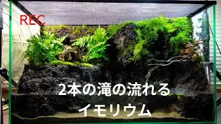 2本の滝の流れるアクアテラリウム　イモリウム　カエルリウム