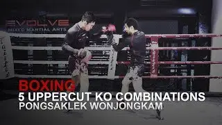 BOXING: 5 Explosive Uppercut KO Combinations! | Evolve University