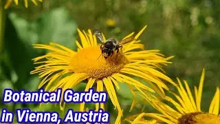 The Botanical Garden Wien/Vienna Austria