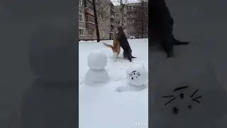 Cats Fell in Love With a Snow Cat&hellip; Then THIS Happened ❄️😼