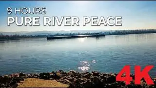 9 HOURS of Relaxing River Video - Danube 4K | Serbia, Futog - Dunav