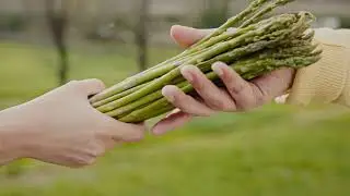 Pensar Global, Agir Local - &Agrave; mesa - PNAES T&Acirc;MEGA E SOUSA - Dolmen c/ Voz Off