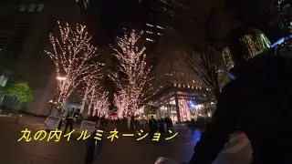 【Ninja e-1】東京のイルミネーションを探し求めてナイトツーリング with Insta360