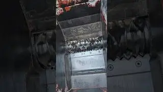 Weima WL4 V-Rotor Schredder Hacker rozdrabniacz shredder rębak
