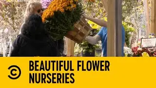 Beautiful Flower Nurseries | Impractical Jokers | Comedy Central Africa