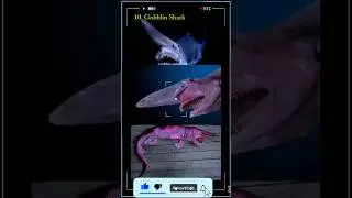 Top 10 Most Deadliest Sharks in the World 🦈 | Dangerous Sharks Explained #viral #ytshorts #awsome