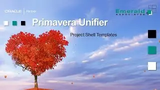 Шаблоны оболочки проекта в Primavera Unifier