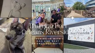 Best Disney Resort with a Dog!? Disney's Port Orleans Riverside I Best Friends Pet Hotel 