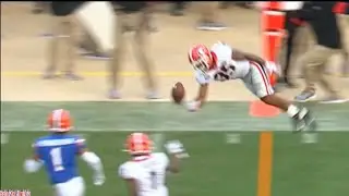 Georgia RB Brian Herrien Makes An Unbelievable Catch vs Florida!