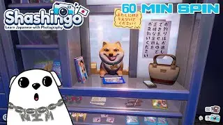Lost In Translation | Shashingo: Learn Japanese | 60 Min Spin | Nim Plays