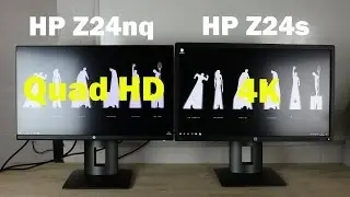 HP Z24nq 24