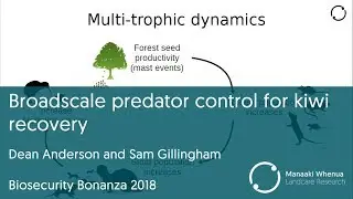 Broadscale predator control for kiwi recovery