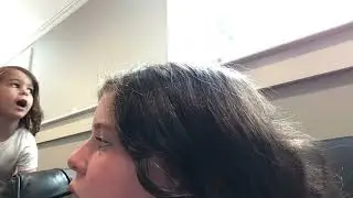 Little  petslive  .