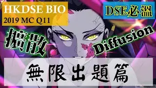 DSE Bio │ HKDSE 2019 MC Q11 │ diffusion 擴散 │ Faith Education {雙語Bilingual}