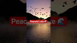 Morning Glow 🌄✨ | Scenic Mountain Lake Short