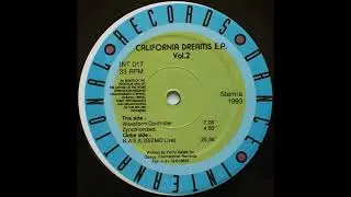 California Dreams - N.A.S.A. (GIZMO Live) (Acid Techno 1993)