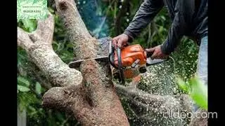 Tree Mulching In Melbourne | Mulching Services in Melbourne | Mulching Services Melbourne