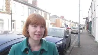 Smash-and-grab thefts from cars in Splott