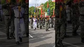 Maldives Military Parade 🔥 Like Indian Army Pride 🇮🇳 #trend #military #army #shorts