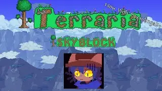 TERRARIA SKY BLOCK DAY 4