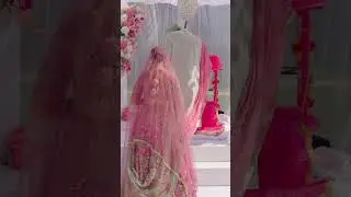 Tania & Jag's GORGEOUS SIKH WEDDING 😍 #wedding #sikhwedding #weddingshorts #indianwedding