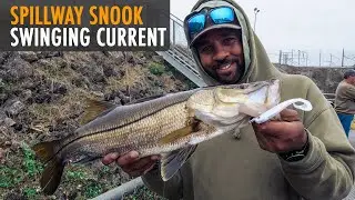 How To: Swinging Swimbaits In The Current For Spillway Snook