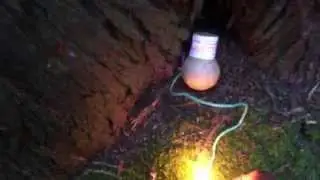 Quarter Stick Of Dynamite On Private Property