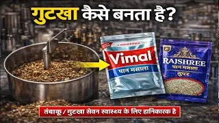 Factory Mein Gutkha Kaise banta hai | Pan Masala making Process! By #punitsoniknowledge