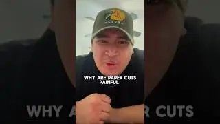 Why do paper cuts hurt so much?