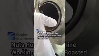 Nuts Roasting Machine Working for Honey Roasted Peanut Dices Caramelized Nuts Snacks Making Machine