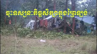 ចុះទស្សនៈកិច្ចសិក្សានៅព្រៃឡង