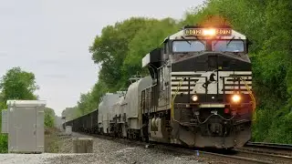 Clean NS Gondola Train