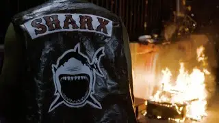 SHARX [CHUM MEDIA]