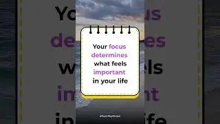 How Focus Shapes What Matters to You     #shorts