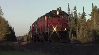 BLE 906 in Northern Minnesota Golden Light 10-5-21