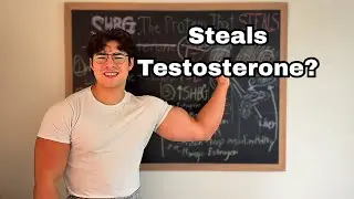 The Protein That Steals Your Testosterone (SHBG Explained)