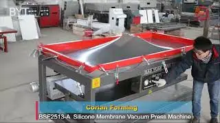 Silicone vacuum membrane press