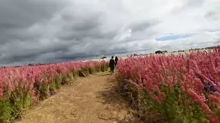 Confetti Field in Pershore, Worcestershire, ENGLAND