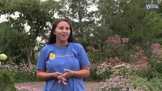 Tour the University of Delaware Botanic Gardens