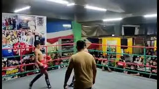 Marwin Quirante winning by K O 💪🏼🌪️