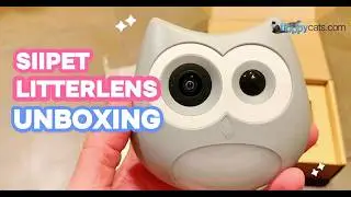 Litter Box Camera?! 🤯 Testing the SiiPet Litter Lens for Cat Health Tracking
