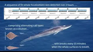 Distributed Acoustic Sensing on the OOI&rsquo;s Regional Cabled Array - Tracking fin whales in Oregon