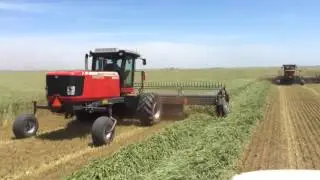Field Launch  5300 DynaSwath Draper Head