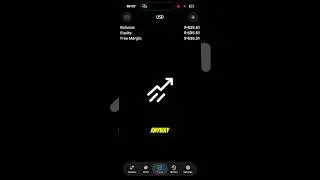 $300 to $10k in one trade on Weltrade full strategy (painx 400 trade breakdown)