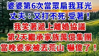 婆婆第6次當眾扇我耳光，丈夫：又打不死 受著！我笑著遞上離婚協議，第二天繼承家族萬億集團，當晚婆家被丟荒山 嚇傻了！#詩涵講故事#為人處世#生活經驗#情感故事#晚年哲理#說故事#完結文#原創故事