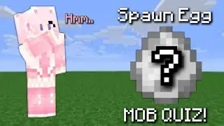 Can you guess the Minecraft Mob by its Spawn Egg?| Mob Quiz