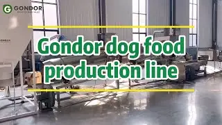 🐕&zwj;⬅️Launch Your Pet Food Empire with Gondor Pet Food Processing Line🐟#petfoodmachine #catfood