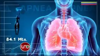 Qu&eacute; experimenta el cuerpo humano cuando se practica apnea deportiva