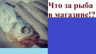 Что за рыба в магазине!?