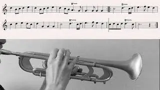 Trumpet Voluntary by Jeremiah Clarke - Bb Trumpet Playalong with Sheet Music (Organ accompaniment)